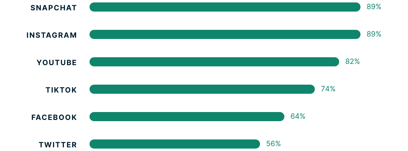 Gen Z Social Media Usage FR