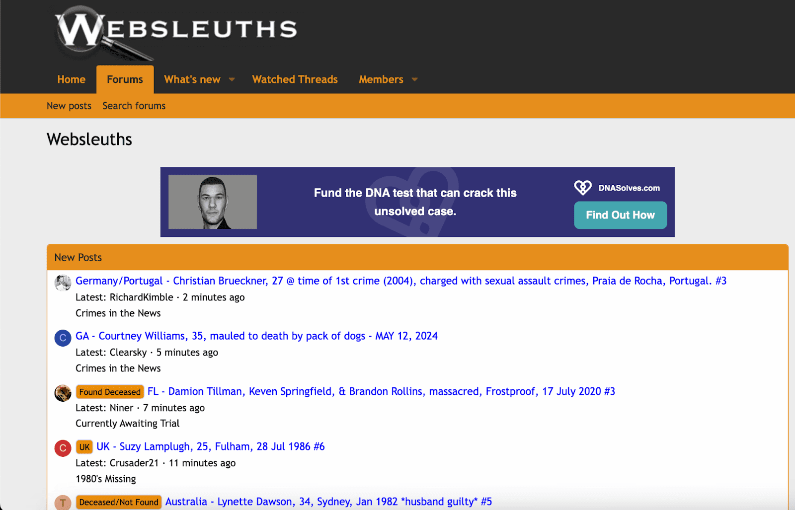 Interactieve websites zoals Websleuths hosten forums waar leden bewijsmateriaal analyseren, theorieën bespreken en samenwerken aan het oplossen van mysteries.