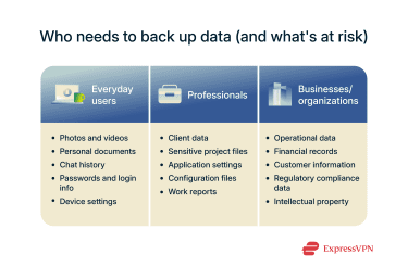An overview of what everyday users, professionals, and businesses/organizations could lose if they don't back up their data.
