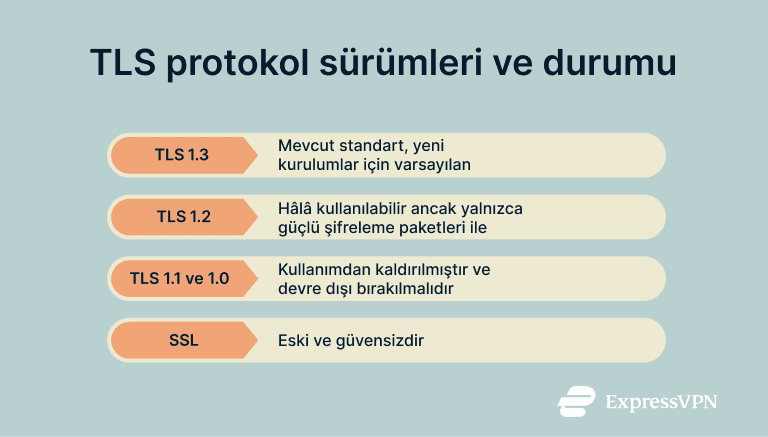 TLS protocol versions and status.