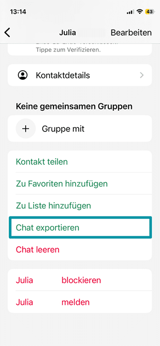 The Export chat option in in WhatsApp individual chat menu.
