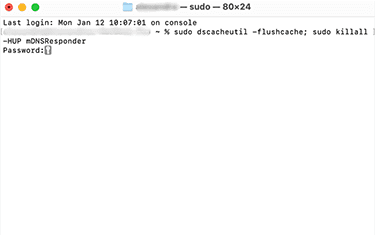 macOS Terminal windows showing how to flush cache with the command sudo dscacheutil -flushcache; sudo killall -HUP mDNSResponder