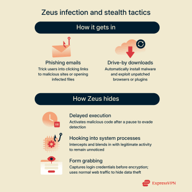A visual guide to common tactics used to spread the Zeus virus and hide its activity from security tools.