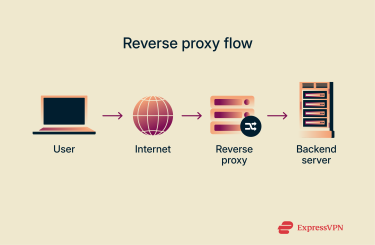 How a reverse proxy works.