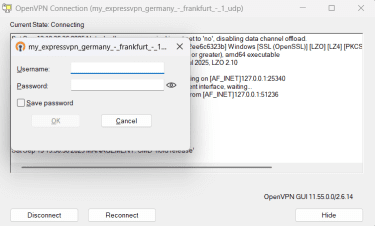 Saisie des identifiants de configuration manuelle pour établir une connexion OpenVPN.
