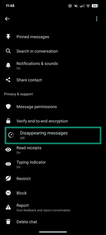 The chat settings menu, showing the disappearing messages option.