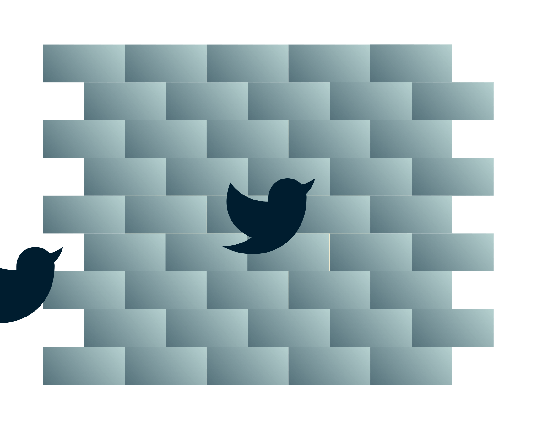 Twitter-fåglar går in i en vägg.