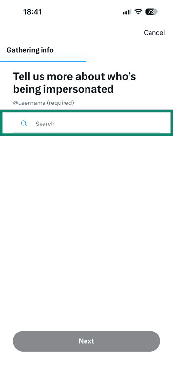 The Impersonation reporting tool on X asking for the name of the original (impersonated) profile.