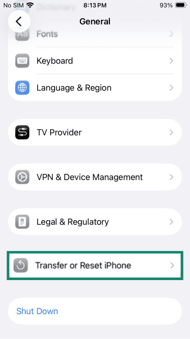 iPhone general settings with Transfer or Reset iPhone highlighted.